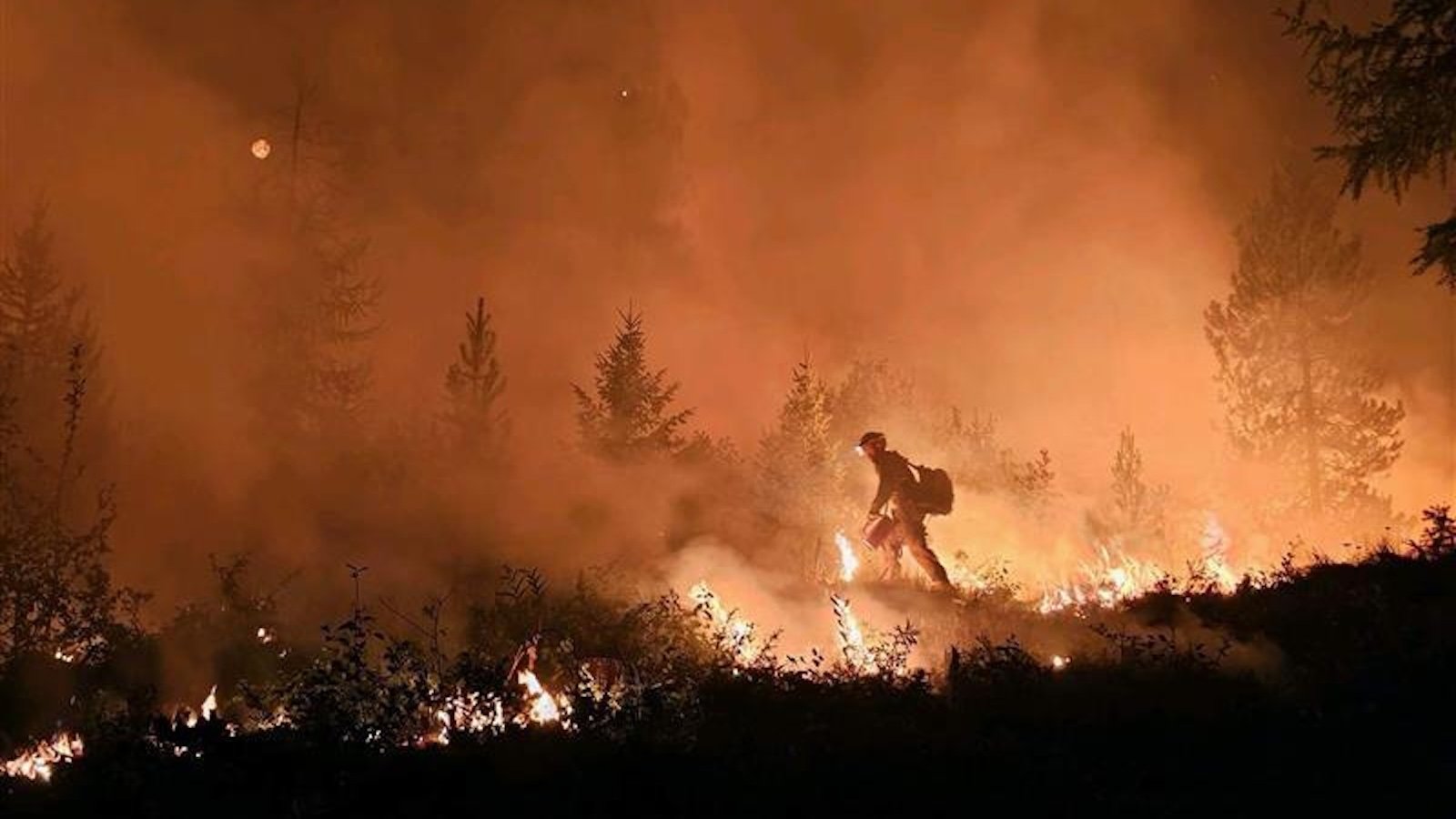 Firefighters sound alarm as US faces critical staffing shortage: ‘We don’t have enough people’