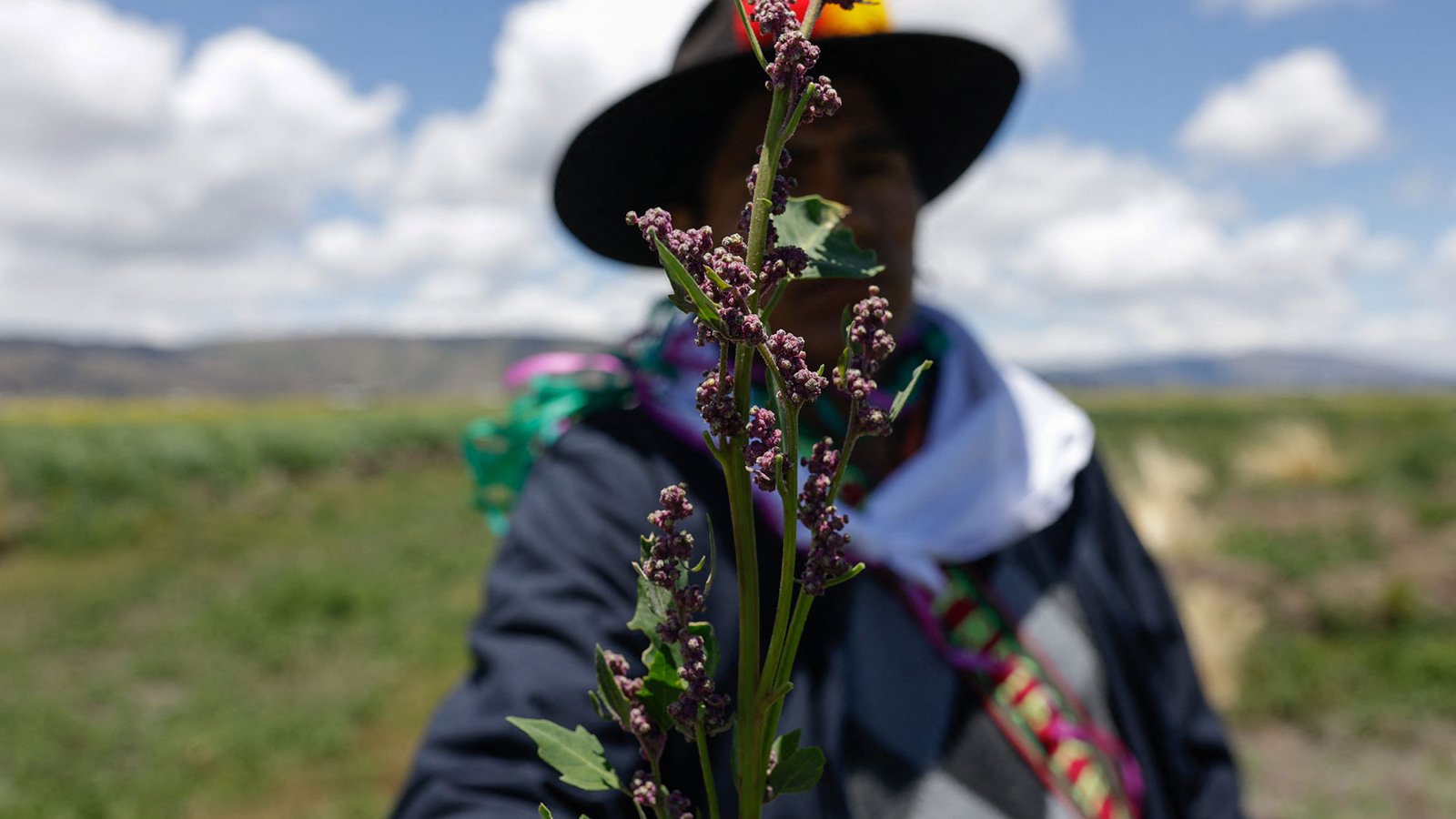 Living with drought has taught pastoralists lessons the world needs