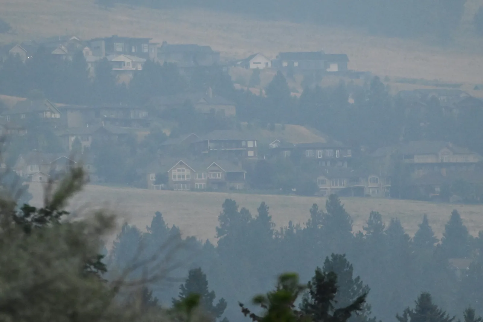 How wildfire smoke is reshaping childhood