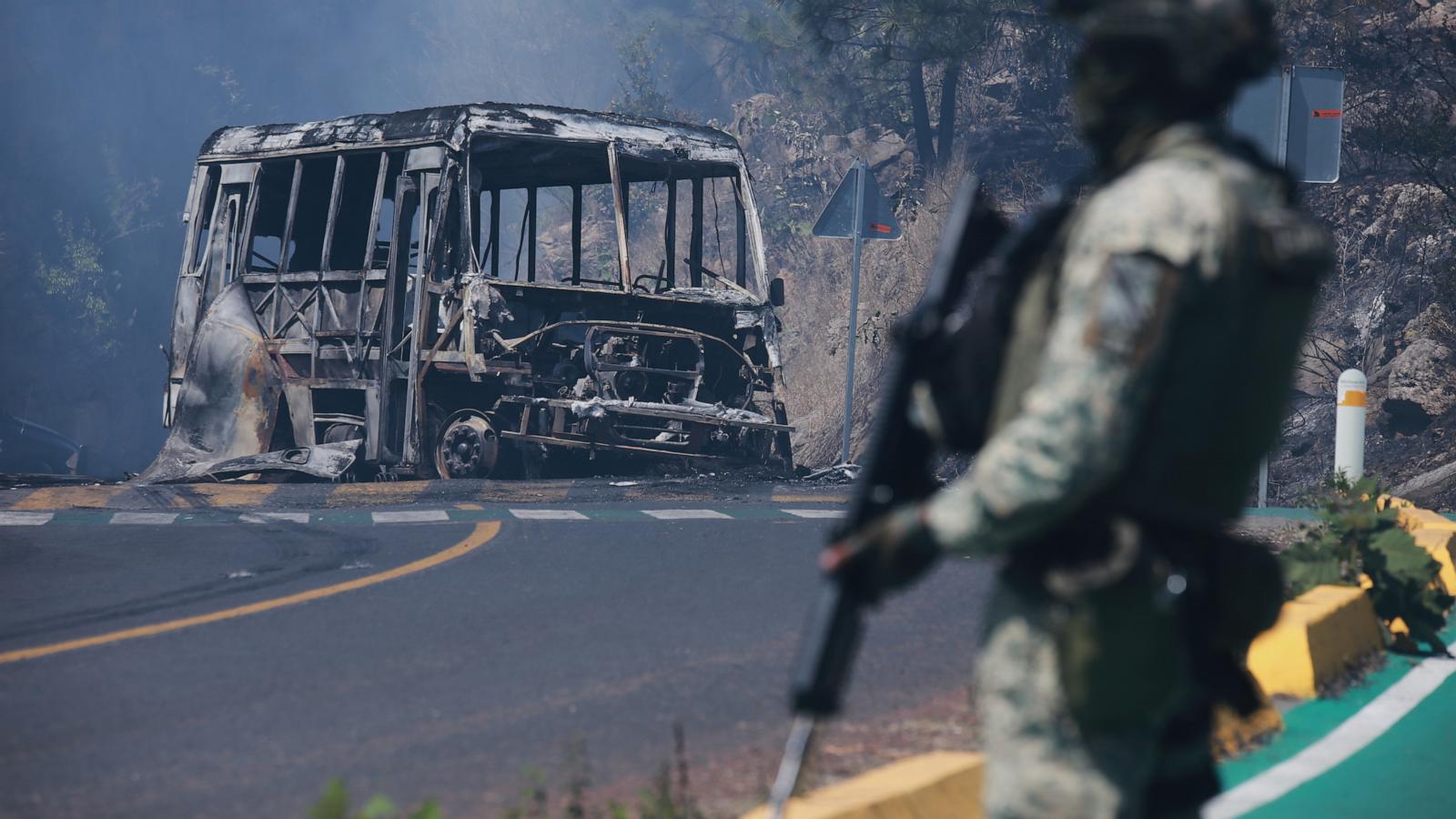 Man whose slain brother led Mexican cartel pleads guilty to drug charges in US