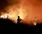 ‘Jaw-dropping’ El Niño bursts through temperature record months before peak