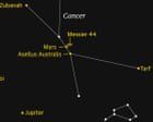 Starwatch: Mars signposts the beautiful Beehive cluster