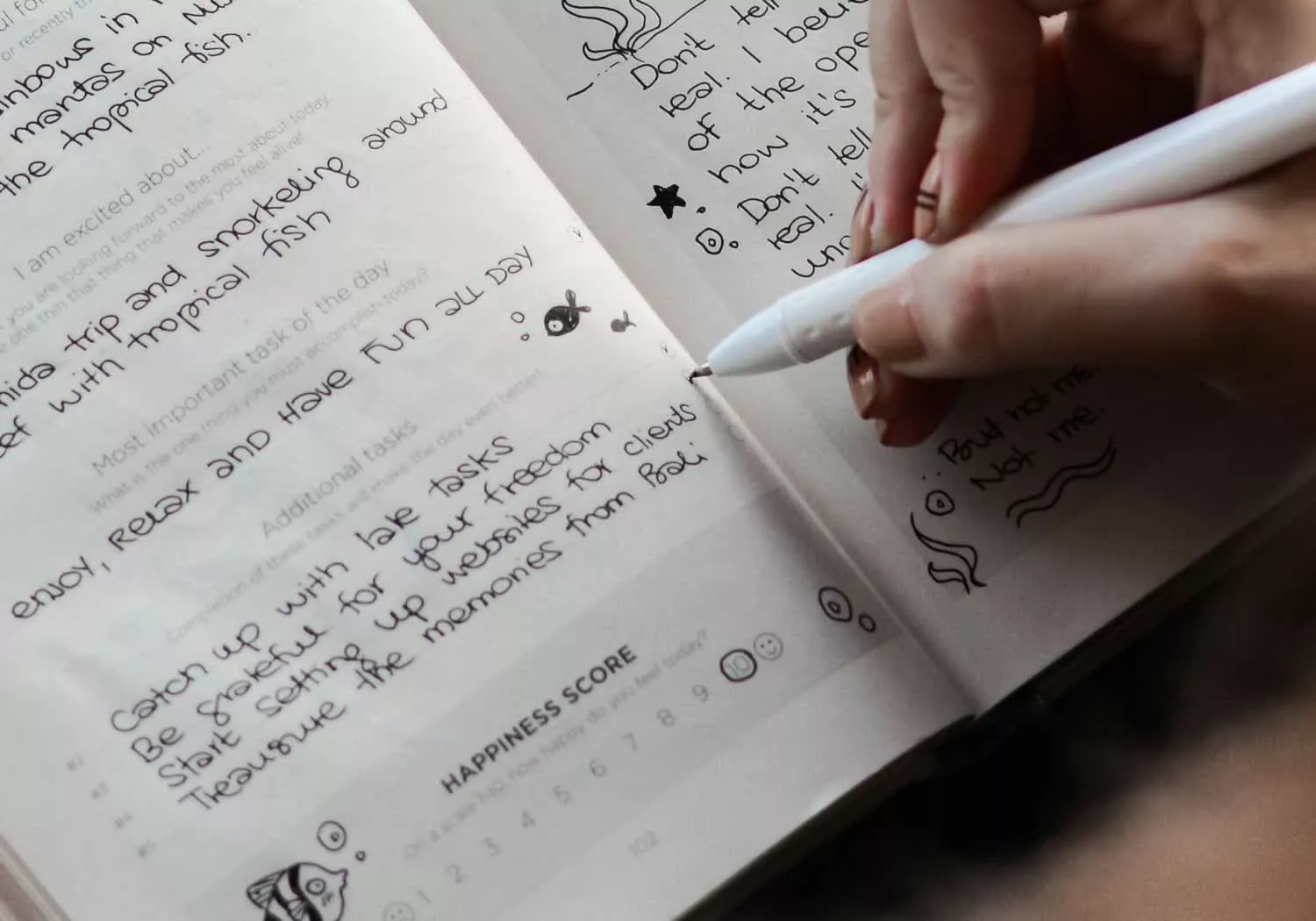 Florida woman used Claude as a diary, then Anthropic reported an entry to police