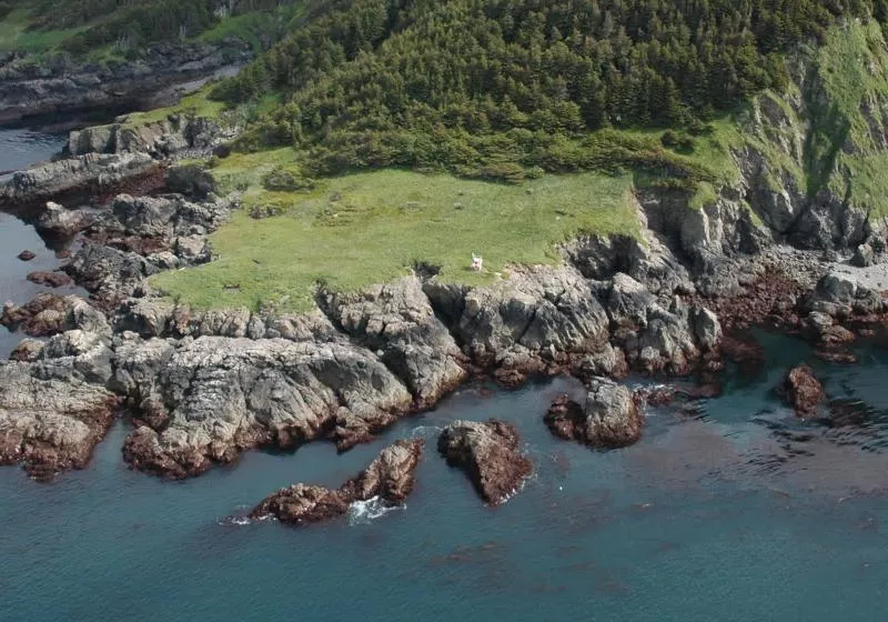 Underwater data centers are heading for waters that endangered whales call home