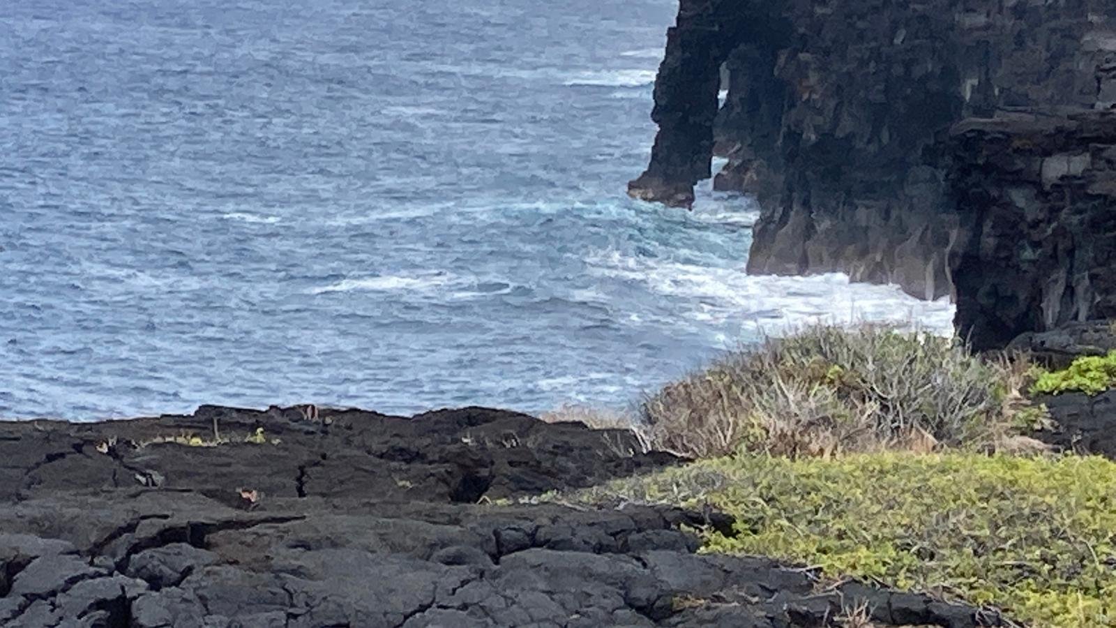 A famed Hawaii sea arch collapses, prompting NPS warnings of unstable cliffs