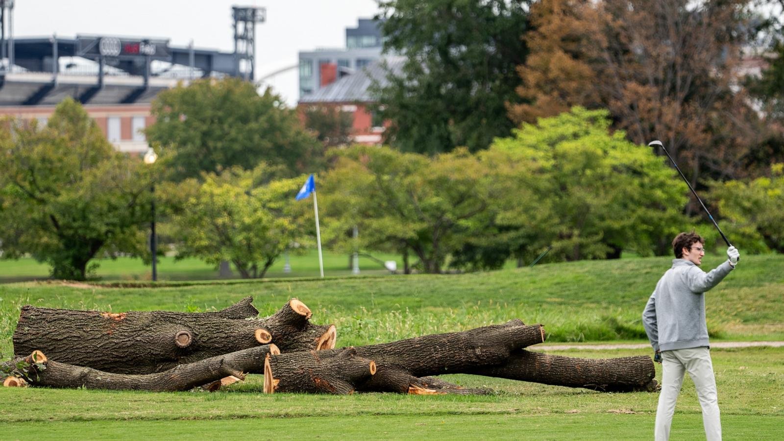 Park service could remove more than 500 trees at historic golf course Trump wants to redesign